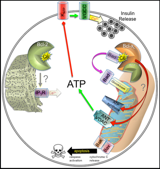 Picture with boarder